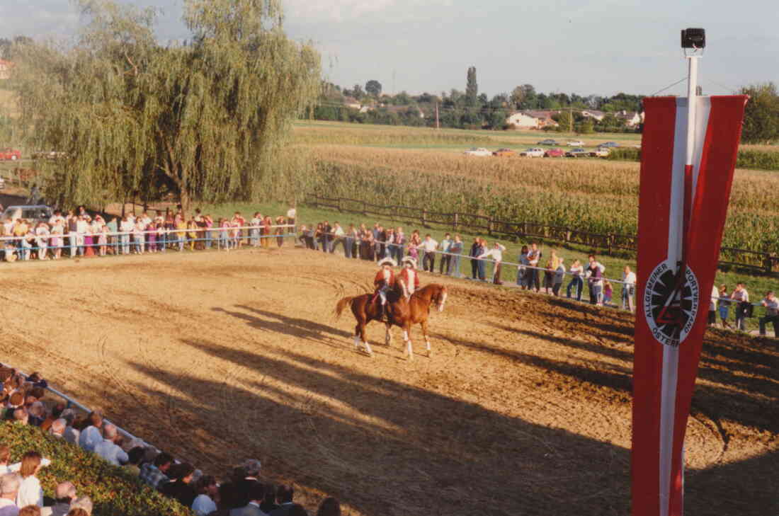 Reitfest im Reitstall Wagner und im Rossnest