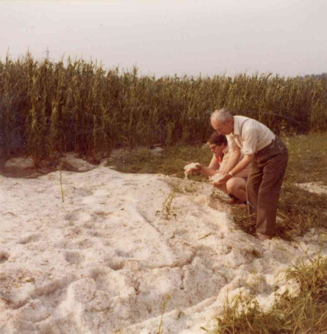 Nach einem Hagelunwetter, Emmerich Windt mit seinem Sohn Othmar