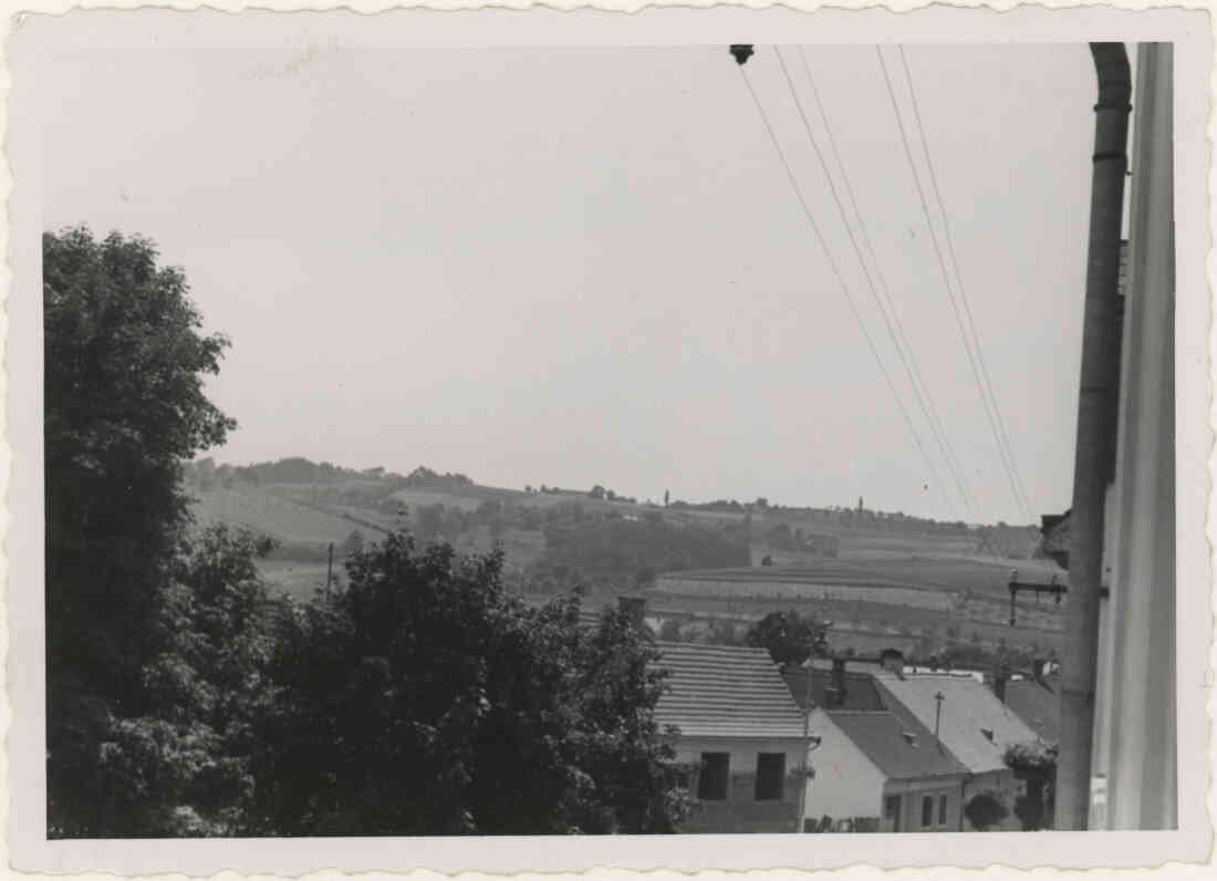 Park und Herrengasse im Sommer 1952