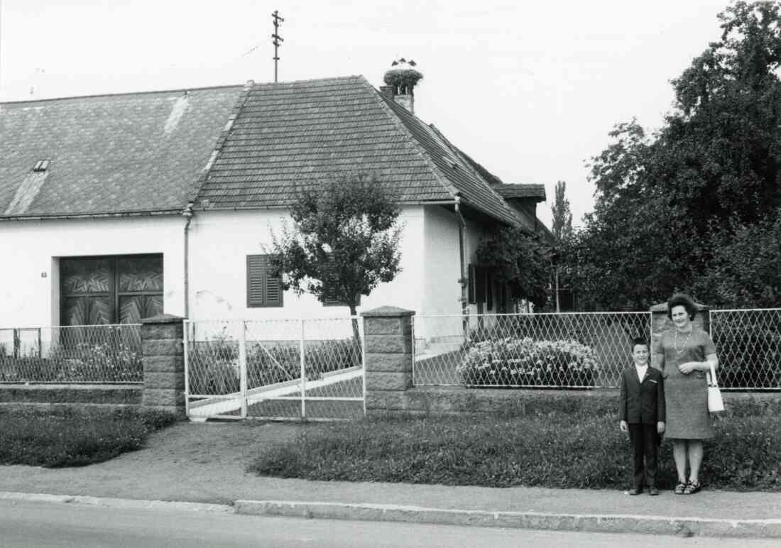 Hauptstraße mit den Häusern Hausnummer 25 von Willi Pendl, Dreissigerhaus und 27 von Johanna Hobel mit Storchennest am 29.07.1973