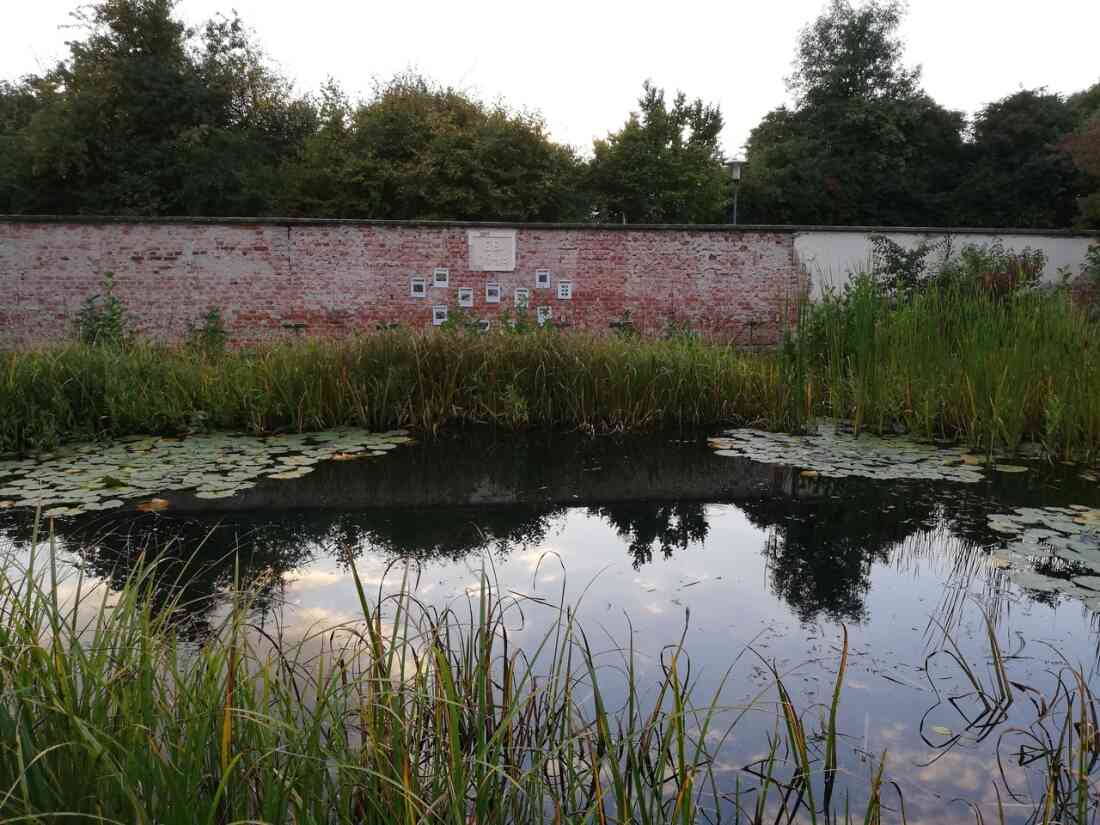 Ehemaliges Schwimmbad, nun ein Biotop der Mittelschule Stegersbach in der Kastellstraße 1