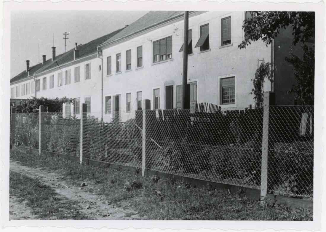 Ewald Loos, Meierhofgasse 7 im Sommer 1953