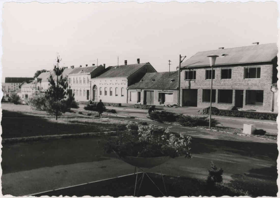 Am Tag der Weihe des Rathauses am 08. Jänner 1950, mit der Hauptstraße