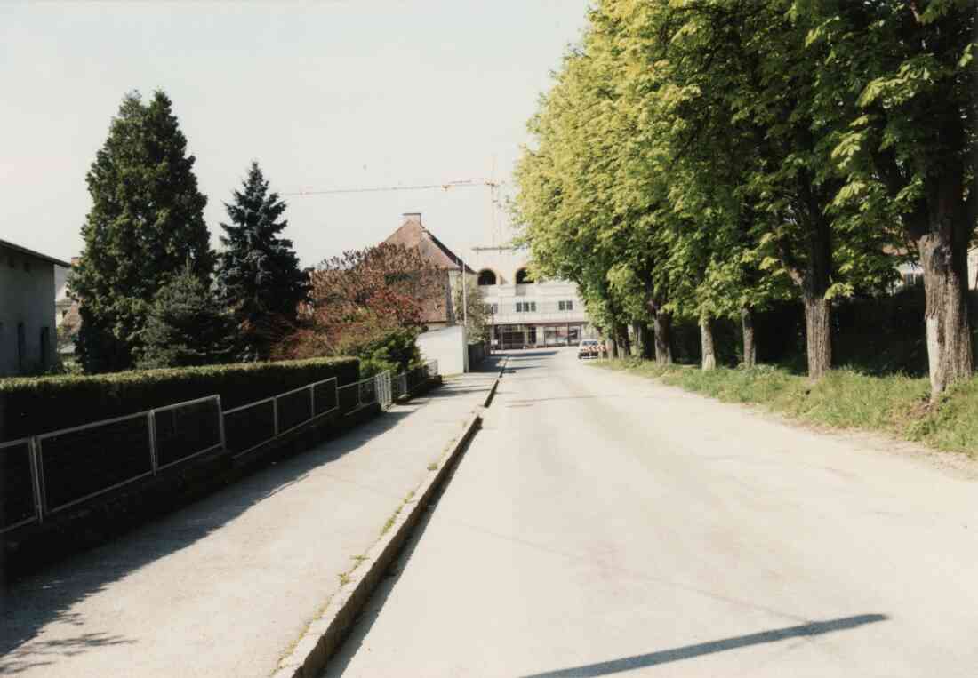 Kastellstraße mit der Allee, die Haus der Familie Schneider, das Haus der Familie Csar,  später das Fotostudio Maly und der Baustoffhandel Bauer