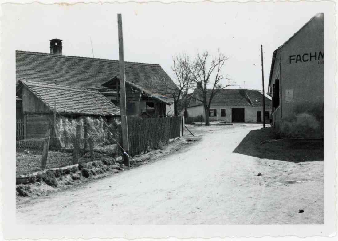 Das Haus Rudolf Horvath, Hausnummer 513, jetzt ist das die Vorstadt 3, schon damals stand der Lindenbaum