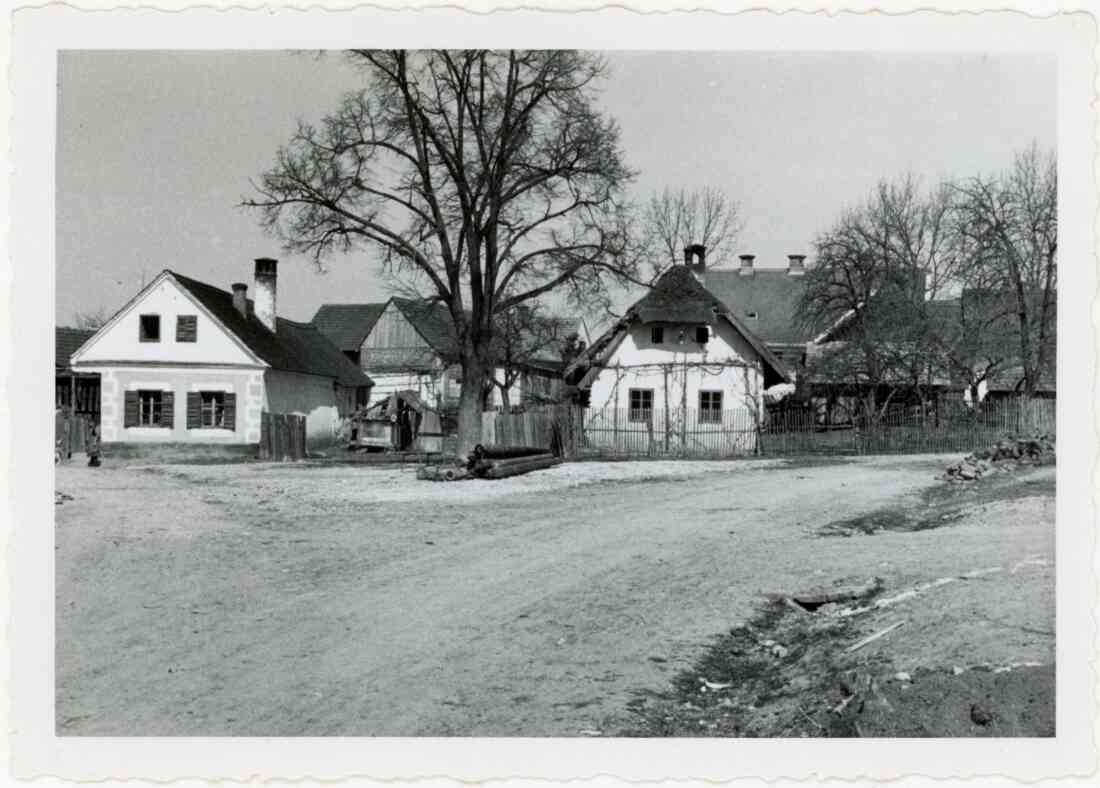 Links das Haus Rudolf Horvath, Hausnummer 513, rechts das Peinsipp Haus, Hausnummer 73, heute Vorstadt 3 und jetzt ist dort das AMS Stegersbach und der Lindenbaum