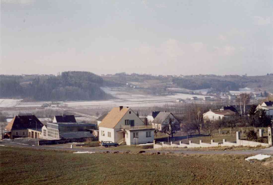 Steinriegel, Hauptsraße, Holitz Personentransporte und das Haus der Familie Lebensorger am Schrammelweg 1