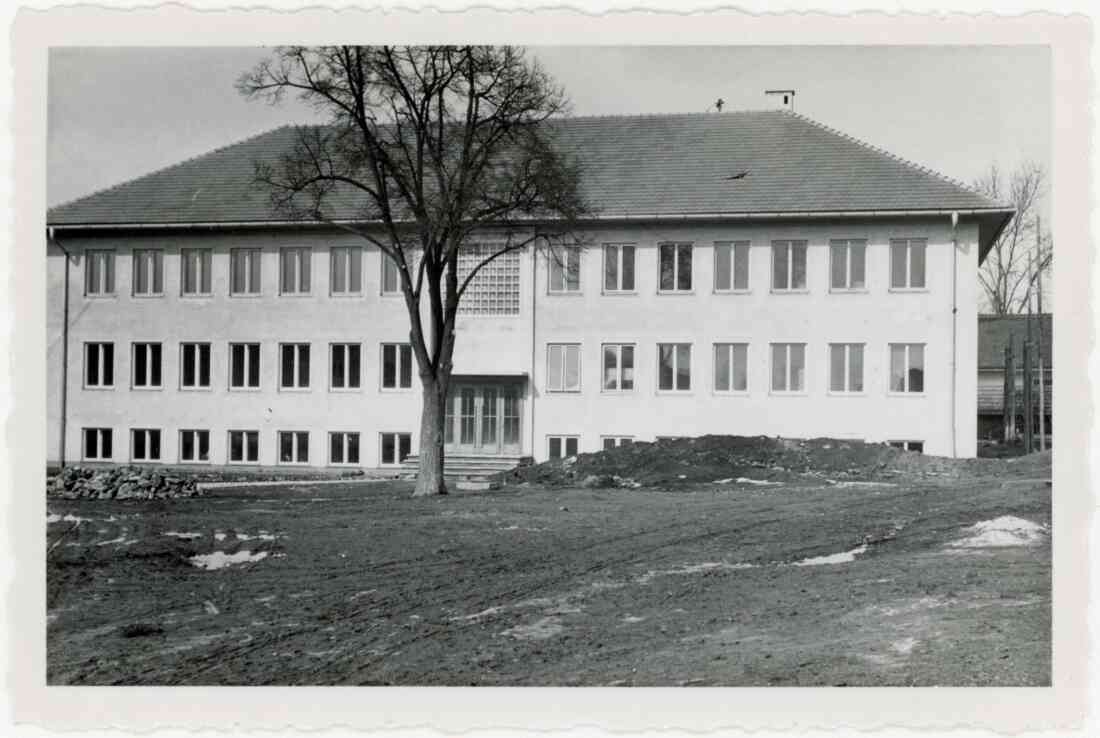 Neubau des Arbeitsamts im Jahr 1956 in der Vorstadt 3 mit dem Lindenbaum