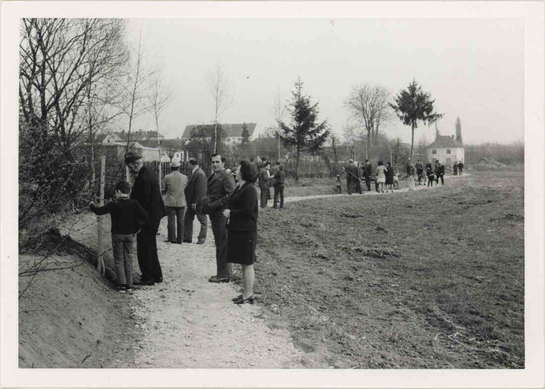 Mühlbach Promenade Birkenbaumpflanzung am 23.03.1974, von dem Verschönerungsverein Stegersbach, Bild 5