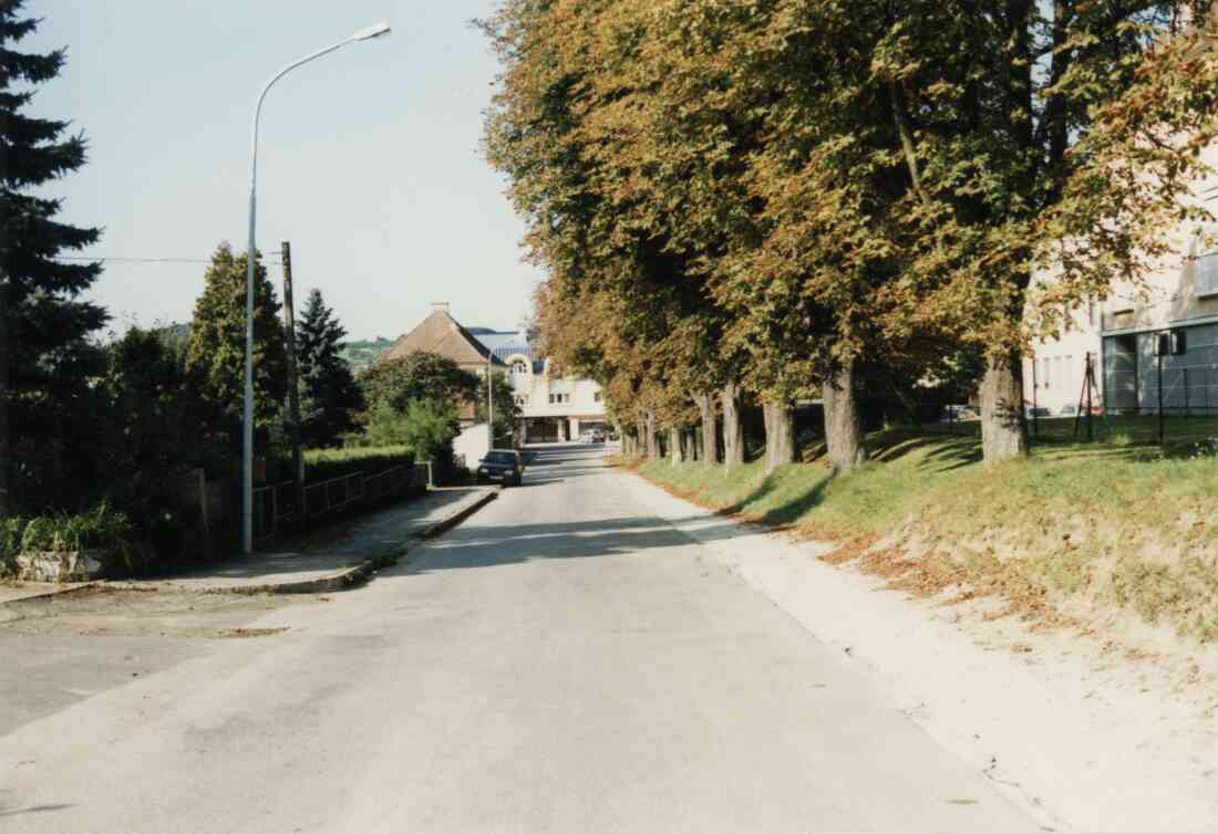 Kastellstraße oder Promenadenweg, die Hauptschule und Musikschule, die Allee, die Häuser der Familien Schneider und Csar und der Baustoffhandel Bauer am 27.04.1999