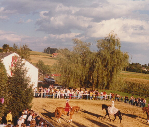 Reitfest im Reitstall Wagner und im Rossnest