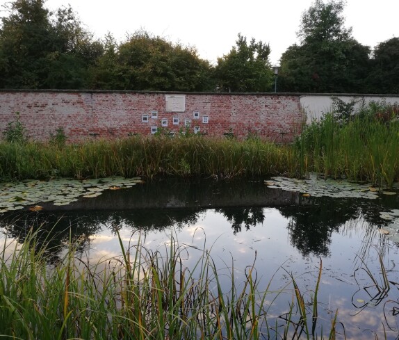 Ehemaliges Schwimmbad, nun ein Biotop der Mittelschule Stegersbach in der Kastellstraße 1