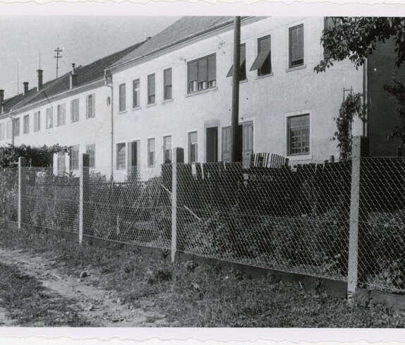Ewald Loos, Meierhofgasse 7 im Sommer 1953