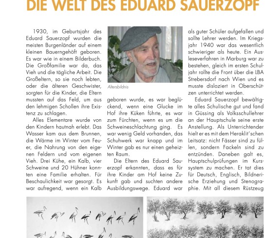 Zeitschrift des Burgenländischen Volksbildungswerkes von 2011 zur Ausstellung zum 80. Geburtstag von Eduard Sauerzopf