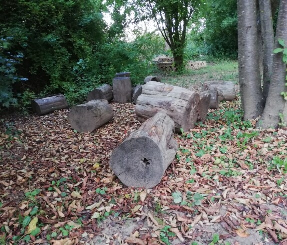 Ehemaliges Schwimmbad, nun ein Biotop der Mittelschule Stegersbach in der Kastellstraße 1
