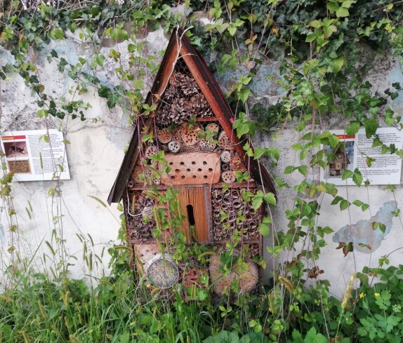 Ehemaliges Schwimmbad, nun ein Biotop der Mittelschule Stegersbach in der Kastellstraße 1