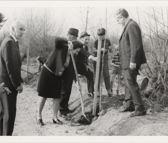 Mühlbach Promenade Birkenbaumpflanzung am 23.03.1974, von dem Verschönerungsverein Stegersbach, Bild 1