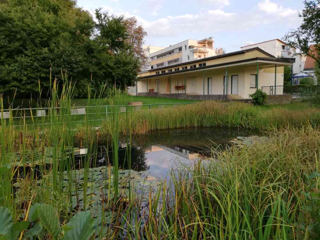 Ehemaliges Schwimmbad, nun ein Biotop der Mittelschule Stegersbach in der Kastellstraße 1