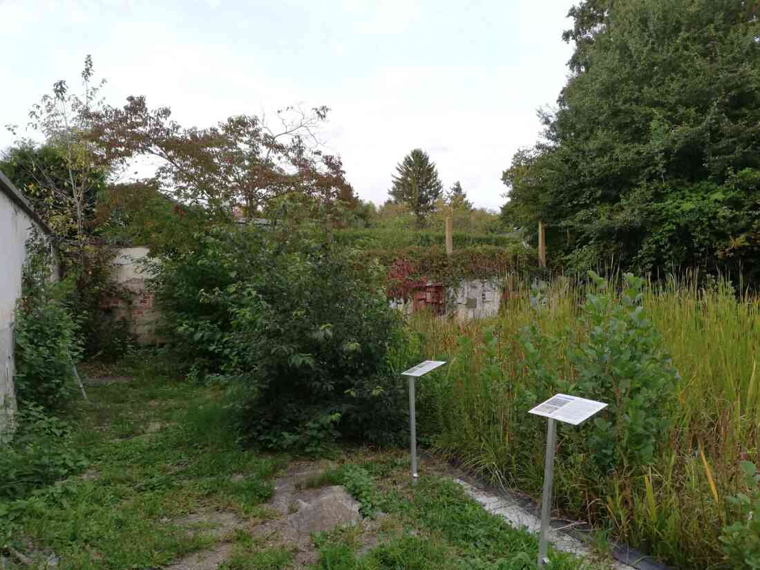 Ehemaliges Schwimmbad, nun ein Biotop der Mittelschule Stegersbach in der Kastellstraße 1