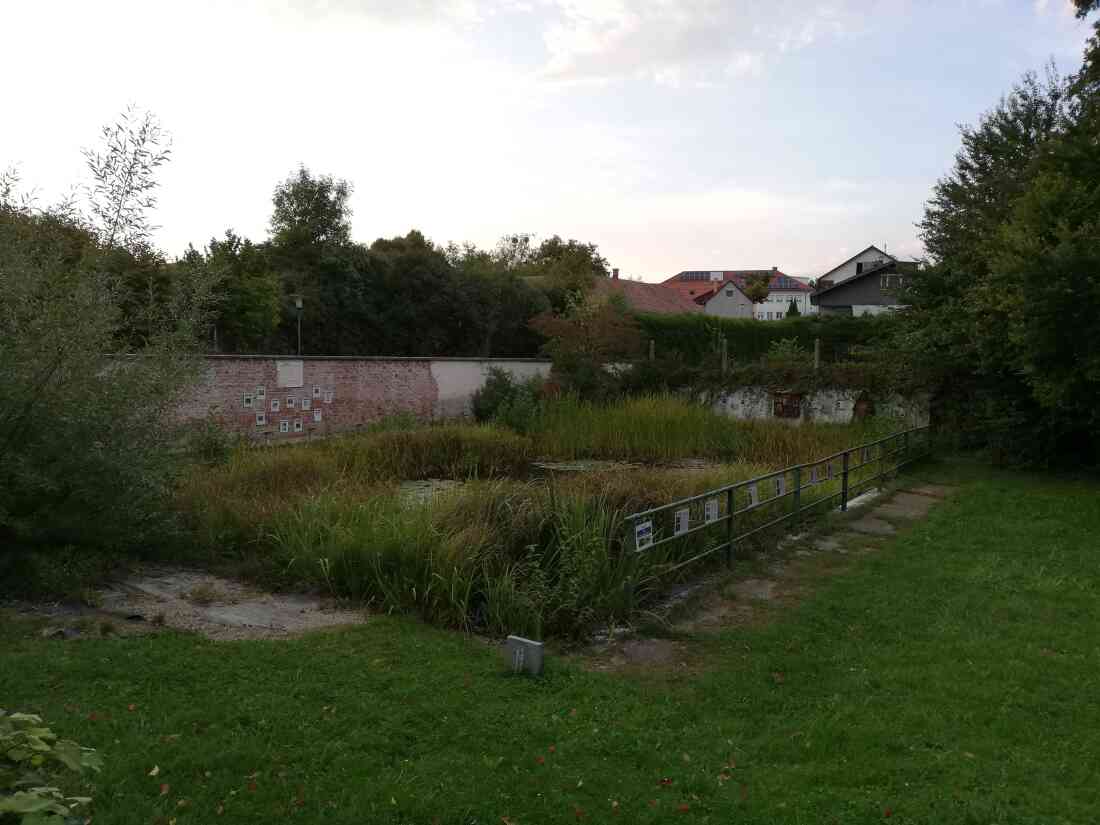 Ehemaliges Schwimmbad, nun ein Biotop der Mittelschule Stegersbach in der Kastellstraße 1